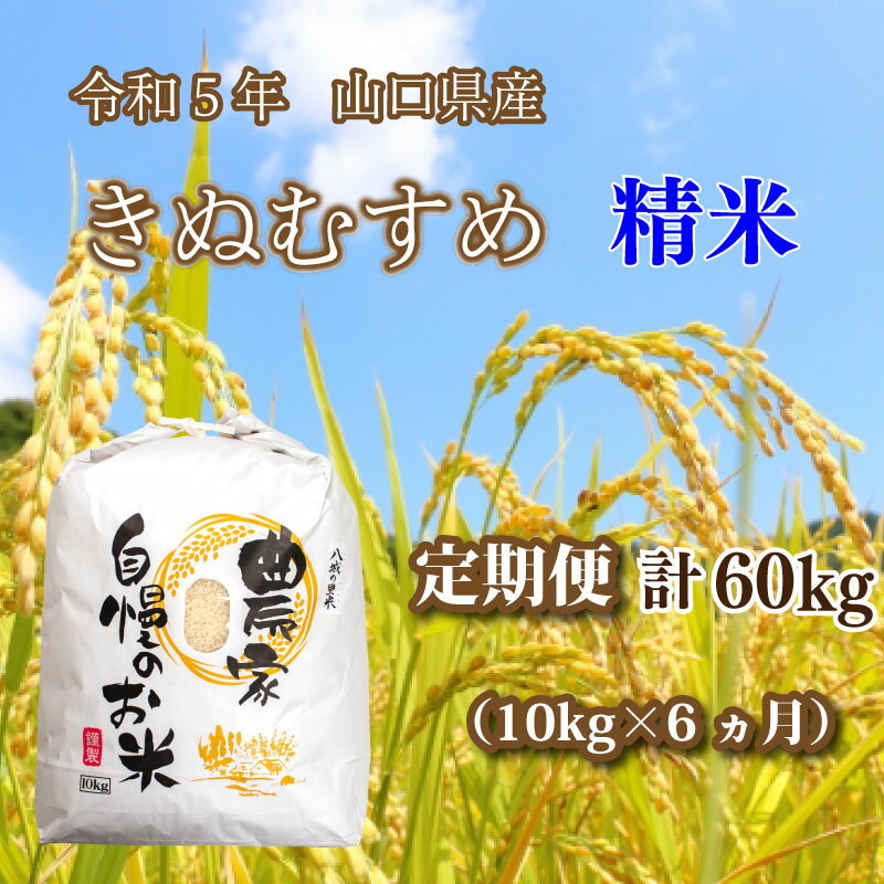 【ふるさと納税】《定期便 6ヵ月》 10kg きぬむすめ 計 60kg 令和5年 精米 八城の里米 豊北町 農家 直送 下関市 山口県産