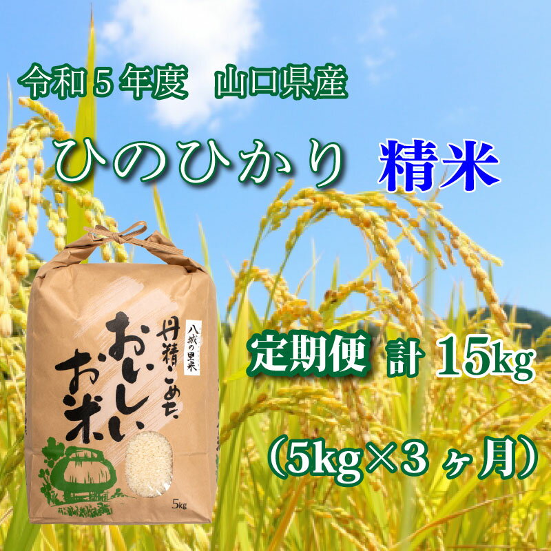 【ふるさと納税】《定期便 3ヵ月》 5kg ひのひかり 計 15kg 令和5年 精米...