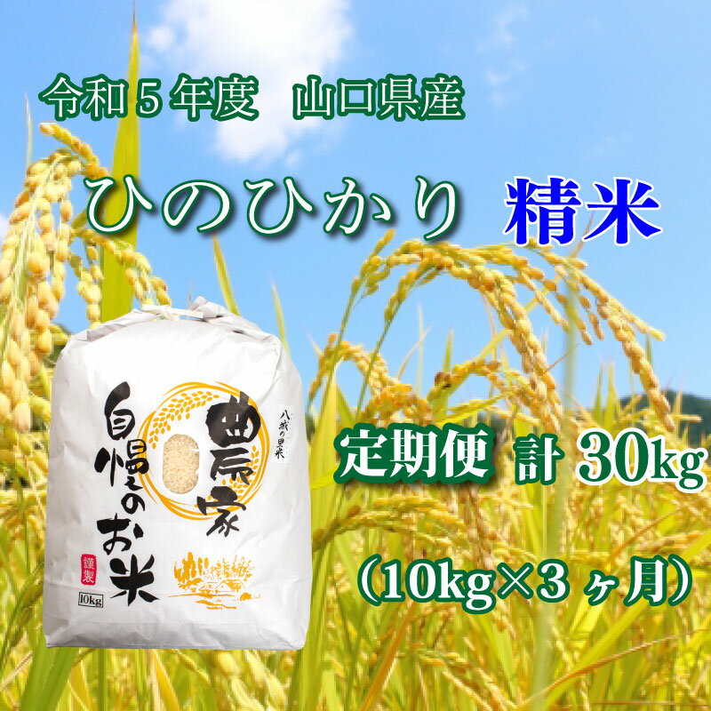 【ふるさと納税】 《定期便 3ヵ月》10kg ひのひかり 計 30kg 令和5年 精...