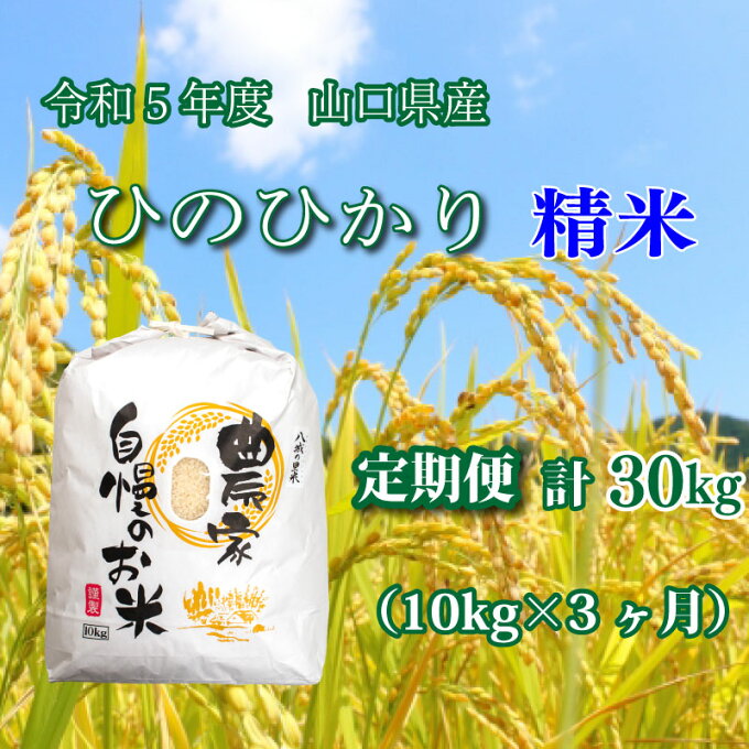 【ふるさと納税】 《定期便 3ヵ月》10kg ひのひかり 計 30kg 令和5年 精米 八城の里米 豊北町 農家 直送 下関市 山口県産