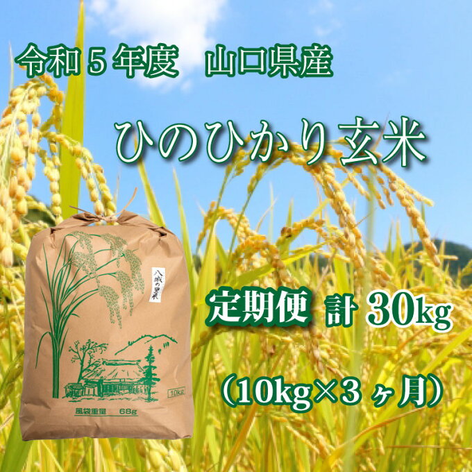 【ふるさと納税】 《定期便 3ヵ月》10kg ひのひかり 計 30kg 令和5年 玄米 八城の里米 豊北町 農家 直送 下関市 山口県産