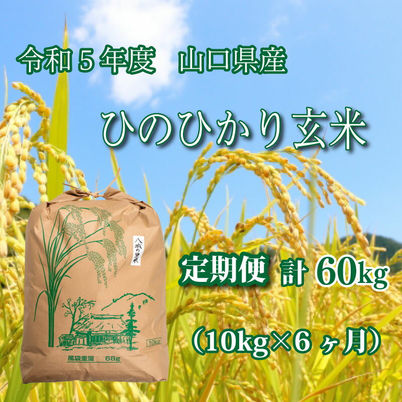 【ふるさと納税】 《定期便 6ヵ月》10kg ひのひかり 計 60kg 令和5年 玄...