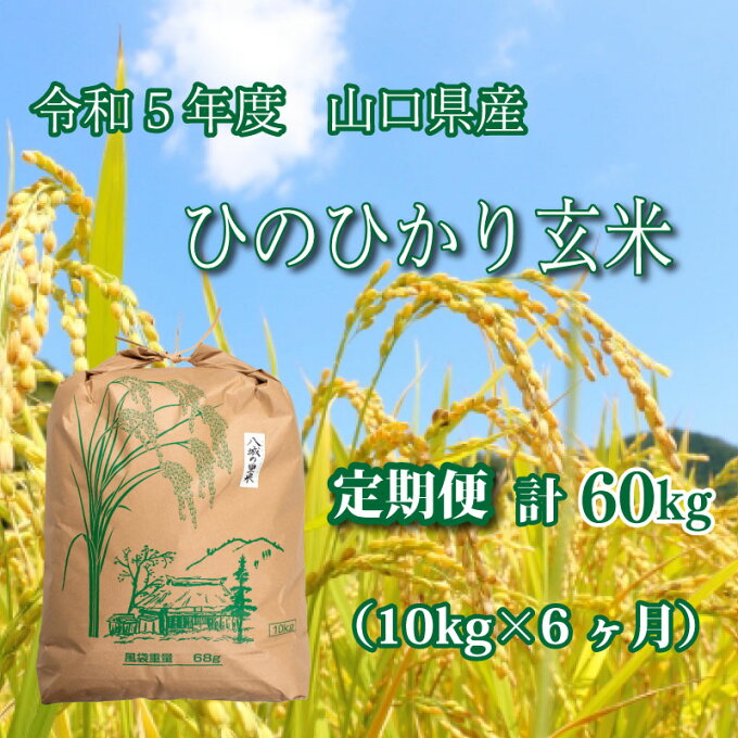 【ふるさと納税】 《定期便 6ヵ月》10kg ひのひかり 計 60kg 令和5年 玄米 八城の里米 豊北町 農家 直送 下関市 山口県産