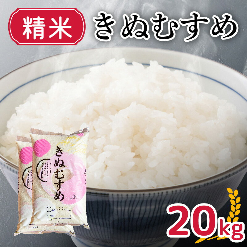 【ふるさと納税】 新米 20kg きぬむすめ 精米 白米 お米 米 コメ クリーン白米 令和5年産 やまだ農園 豊田 下関