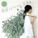 【ふるさと納税】 花 定期便 4回 季節 草木花 ブーケ スワッグ リース 手作り アレンジメント お楽しみ お花 フラワー ドライフラワー 誕生日 記念日 ギ...