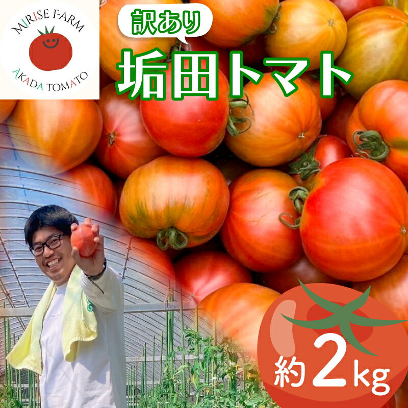 5位! 口コミ数「0件」評価「0」 訳あり トマト 2kg 垢田トマト 規格外 不揃い トマト とまと 野菜 旬野菜 サラダ 健康 美容 家庭用 新鮮 季節 限定 数量限定 ･･･ 