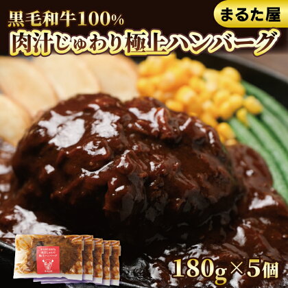 ハンバーグ 国産 黒毛 和牛 100% 180g × 5個 900g 小分け 真空パック 冷凍 まるた屋 下関 山口 肉特集