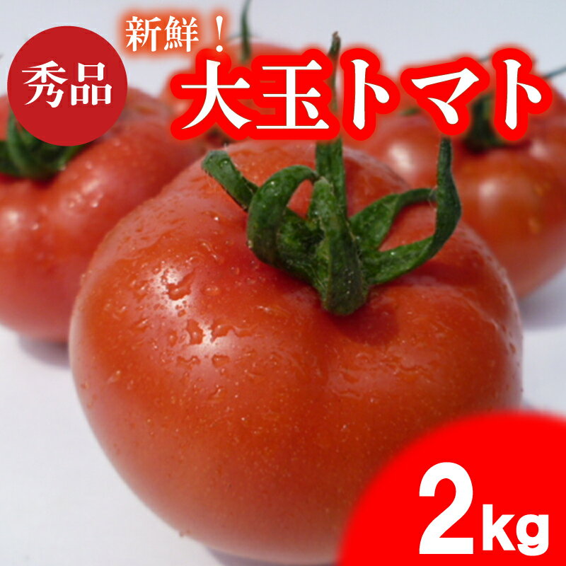 トマト 先行予約 2kg 大玉 選べるサイズ 期間限定 数量限定 野菜 産地直送 高糖度 リコピン ビタミンC 美容 栄養 甘い おいしい 大容量 下関 山口 [2025年4月以降の発送]