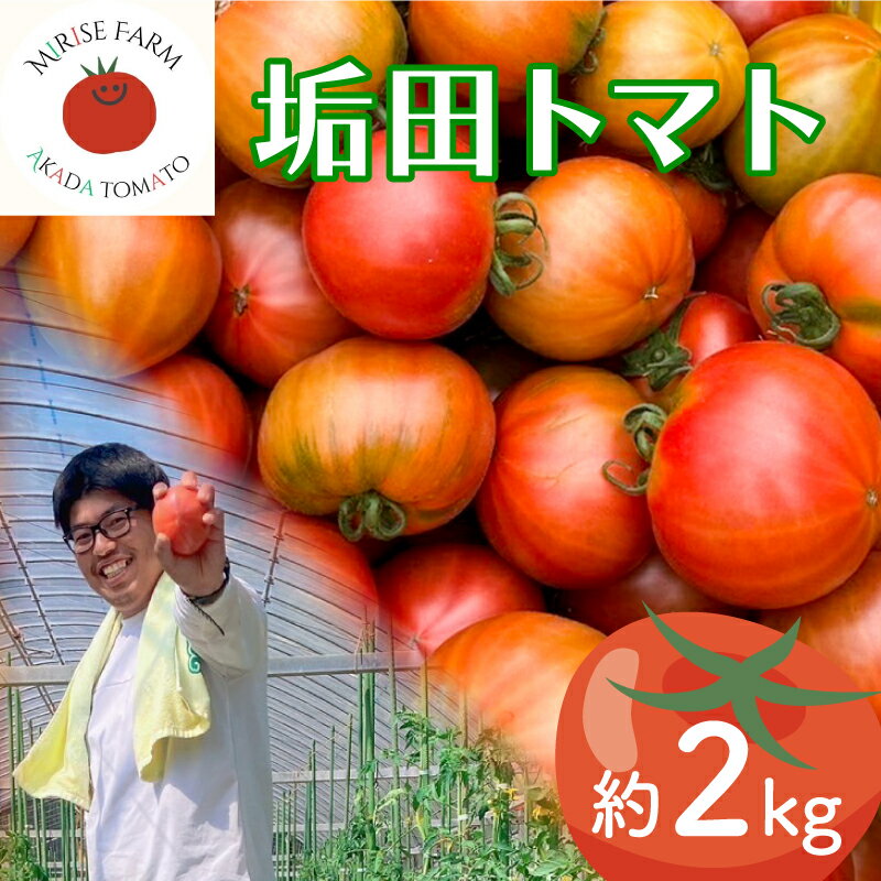 15位! 口コミ数「0件」評価「0」 トマト 2kg 垢田トマト とまと 野菜 旬野菜 サラダ 健康 美容 家庭用 新鮮 季節 限定 数量限定 産地直送 期間限定 下関 山口