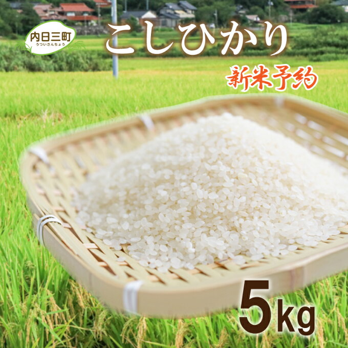 【ふるさと納税】 米 5kg コシヒカリ 山口 県産 無洗米 新米 白米 お米 ご飯 特別栽培エコ50 農家直送 下関