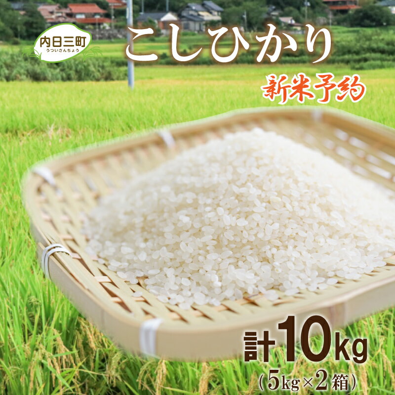 【ふるさと納税】 米 10kg ( 5kg × 2箱 ) コシヒカリ 山口 県産 無洗米 新米 白米 お米 ご飯 特別栽培エコ50 農家直送 下関