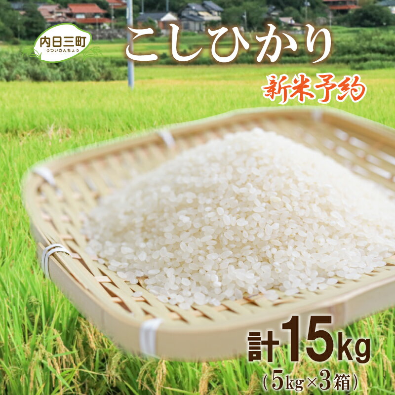 【ふるさと納税】 米 15kg ( 5kg × 3箱 ) コシヒカリ 山口 県産 無...