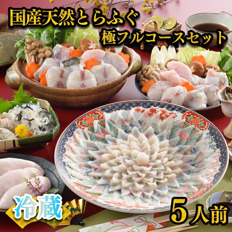 【ふるさと納税】 天然 とらふぐ 極 フルコース 刺身 鍋 白子 セット 5人前 600g 期間 限定 菊盛 身皮 ..