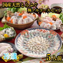 【ふるさと納税】 天然 とらふぐ 極 フルコース 刺身 鍋 白子 セット 5人前 600g 期間 限定 菊盛 身皮 冷蔵 高級魚 切身 あら ふぐ ふく ひれ ...