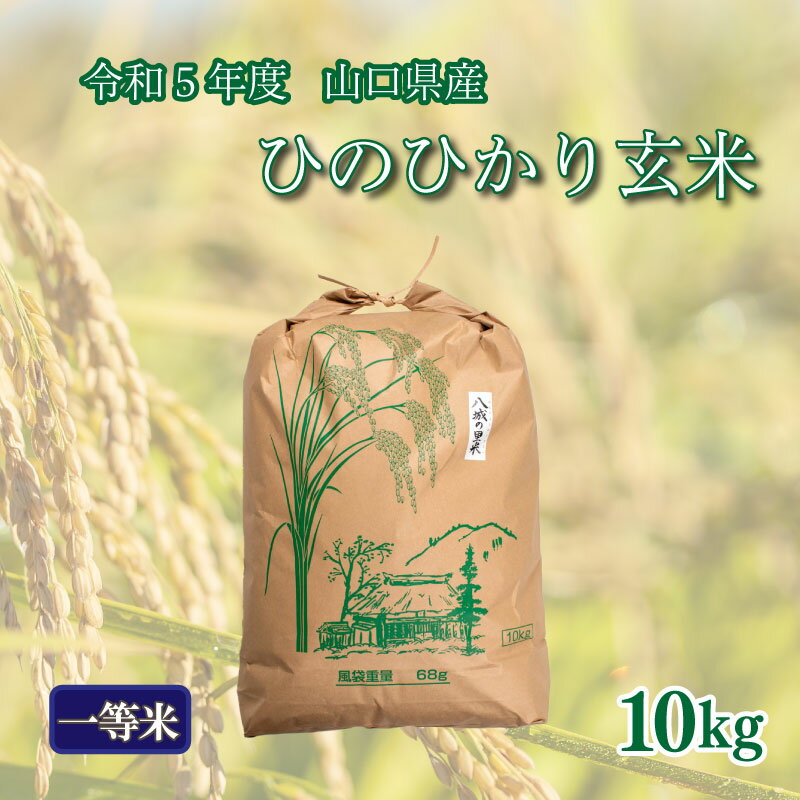 期間限定 令和5年 米 収穫 新下関市 山口県産 ひのひかり 玄米 10kg 1箱