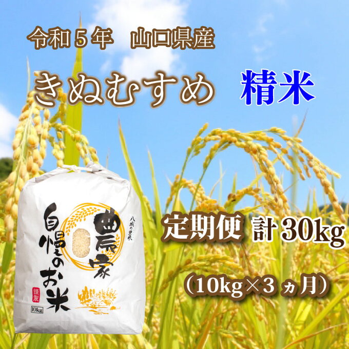 【ふるさと納税】 《定期便 3ヵ月》 10kg きぬむすめ 計 30kg 令和5年 ...