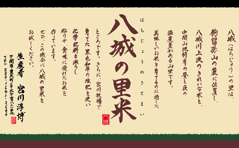 【ふるさと納税】《定期便 3ヵ月》 5kg ひのひかり 計 15kg 令和5年 精米 八城の里米 豊北町 農家 直送 下関市 山口県産