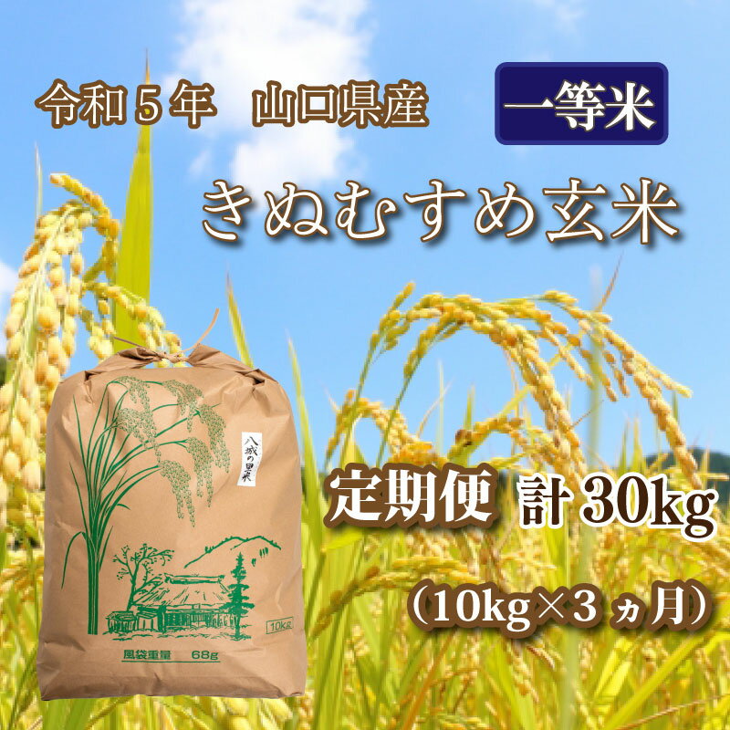 【ふるさと納税】《定期便 3ヵ月》 10kg きぬむすめ 計 30kg 令和5年 玄米 八城の里米 豊北町 農家 直送 下関市 山口県産