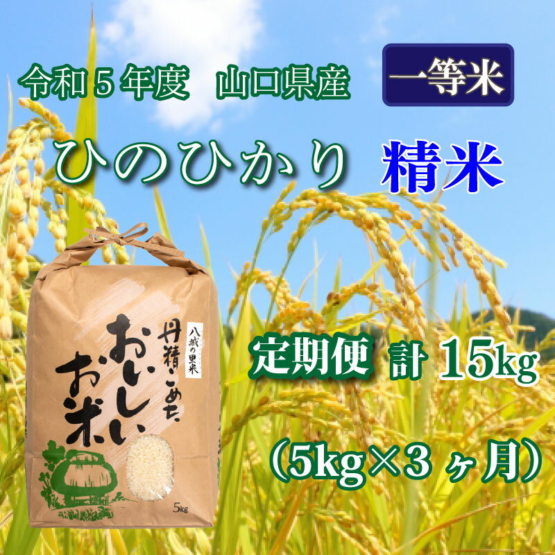 【ふるさと納税】《定期便 3ヵ月》 5kg ひのひかり 計 15kg 令和5年 精米 八城の里米 豊北町 農家 直送 下関市 山口県産