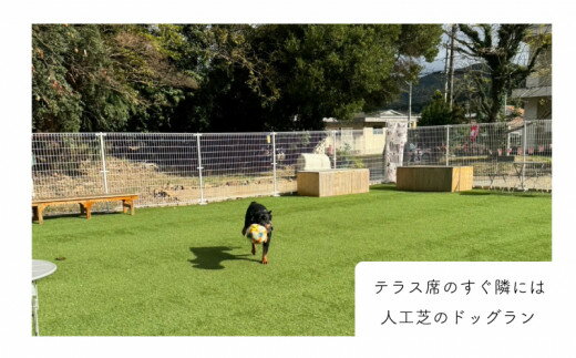 【ふるさと納税】ペア 宿泊券 朝食付き 2名 ペット 犬 いぬ 古民家 リゾート レストラン ドッグラン 山口 下関 角島 観光 絶景 犬と泊まれる ペットと泊まれる 母の日 父の日その2