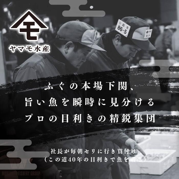 【ふるさと納税】 【発送月が選べる】 下関 ふぐ 料理 満喫 セット 4〜5人前 冷凍 鮮魚 魚介 刺身 フグ刺し 河豚 切身 鍋 低カロリー 高タンパク ポン酢 もみじおろし 付き 簡単 お手軽 便利 ギフト プレゼント お中元 お歳暮 父の日 母の日 記念日 贈り物 山口 ヤマモ水産