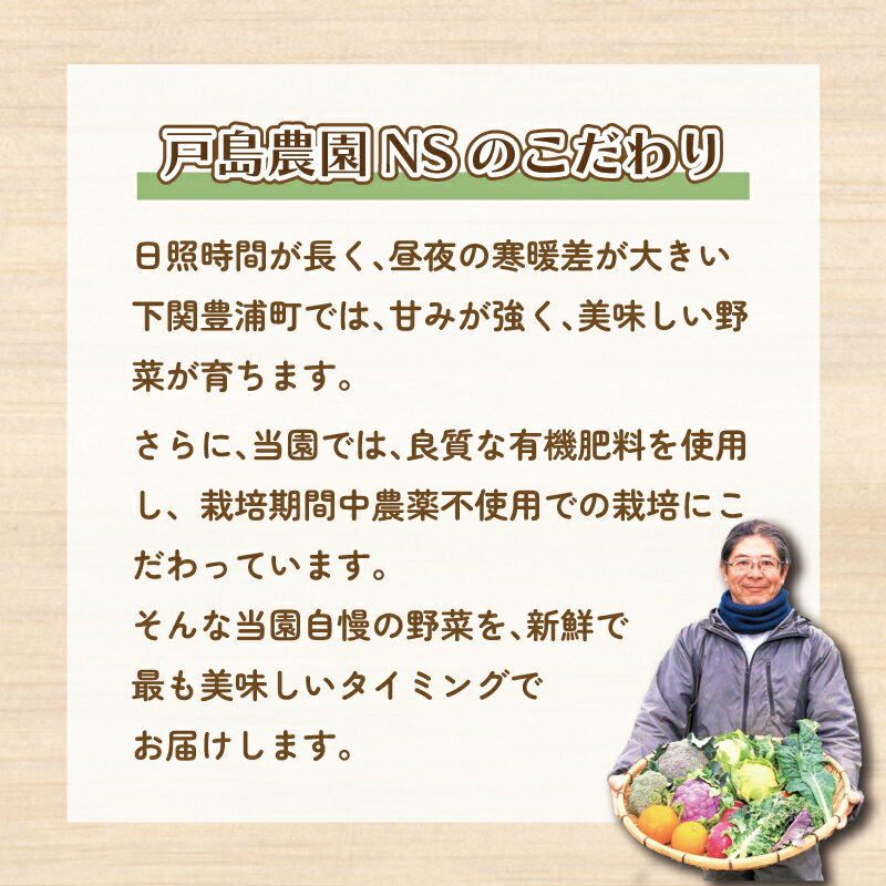 【ふるさと納税】 【 先行予約販売 】 期間限定 うすい豌豆 2kg セット 野菜 新鮮 旬 産地直送 豊浦町 川棚 下関 山口