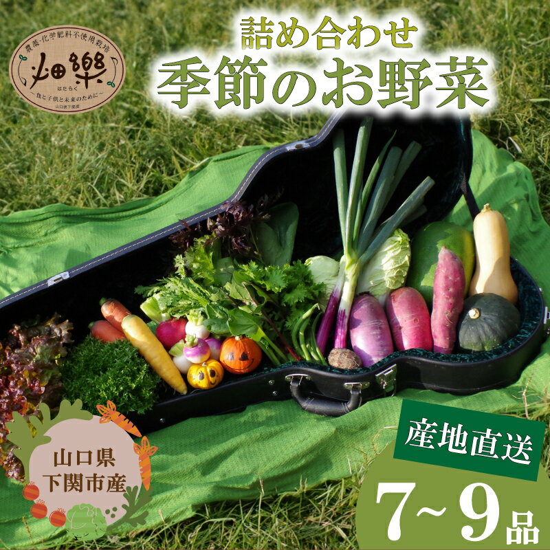 商品説明 内容量 旬のお野菜　7～9品セット 80～100サイズ ＜お野菜セット春秋冬　例＞ 人参・(色)大根・玉ねぎ・じゃがいも・サツマイモ・かぶ・キャベツ・かぼちゃ・里芋・ビーツ・ごぼう・にんにく・ほうれん草・ネギ・ベビーリーフ・レタス・ルッコラ・ケール・ブロッコリー・カリフローレ・コリンキー・セロリ・からし菜・水菜・わさび菜・つぼみ菜・ホーリーバジル・アスパラ・フェンネル・冬瓜・唐辛子・ハーブ 上記に加え…スナップエンドウ・そら豆・サラダそら豆・にんにくの芽・いんげん・絹さや トマト・ナス・ピーマン・オクラ・キュウリ・枝豆・ズッキーニ・モロヘイヤ・空心菜・つるむらさき・バジル・生ホップ 賞味期限 発送日から1週間ほど(10℃以下で保存) お早めにお召し上がりください。 商品詳細 ～食と子供と未来のために～　～食卓に笑顔と彩りを～ 創業当初からこのふたつを理念とし、畑樂では年間約100種類のお野菜を農薬化学肥料不使用で育てています。 子供達に安心して食べたさせたいと農家になり、季節の野菜を作るべく天候に翻弄されながらも露地栽培を続けています。 野菜の美味しさを追求するため、『鮮度・旬・品種』に徹底的にこだわり、大地の力強さを備えたスーパーにはなかなか並ばないお野菜をお届けします！ また、使用する肥料や資材などは、有機JAS認証に準じて使用しており、更に有機JASで使用可能な農薬等も一切使わず栽培しています。 ※旬な物をご準備致しますので、内容は変更になる事がございます。 ※9.10月は収穫が少ないため、発送いたしかねます。ご了承ください。 ※品目や到着日の指定は出来かねますのでご不在日等ございましたら備考欄にてお知らせください。 ※天候や収穫量により出荷が遅れる事がございます。ご了承下さいませ。 ※見た目が綺麗ではない物や、鮮度維持の為土付きのままお送りすることがございます。 稀に、自然の物ですので虫の混入等が御座います。 よく洗ってお召し上がり下さい。品質には問題ございません。 ※お受け取りにお時間かかった場合の品質低下による返品や再送は行っておりません。 すぐにお受け取り頂きました際に、万が一ひどい状態の場合は到着日の翌日までに画像をメールに添付の上お問い合わせ下さいませ。 事業者名：畑樂 お申込み受付期間 通年対応 事業者名 畑樂 配送について 準備でき次第、順次発送いたします。 5～10月は冷蔵配送いたします。 ※9~10月は収穫が少ないため、発送が出来かねますのでご了承ください。 ・ふるさと納税よくある質問はこちら ・寄附申込みのキャンセル、返礼品の変更・返品はできません。あらかじめご了承ください。