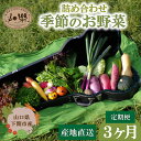 【ふるさと納税】 旬 の 野菜 詰め合わせ セット 3ヶ月 定期便 7 ~ 9 品 お楽しみ 産地直送 農家直送 季節 春 夏 秋 冬 露地野菜 やさい サラダ 農薬 化学肥料 不使用 下関 山口