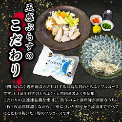 【ふるさと納税】 国産 とらふぐ フルコース セット 2-3人前 てっさ てっちり 本場フグ刺し 河豚 関門ふぐ ふぐ鍋 ふぐちり鍋 海鮮鍋 高級魚 鮮魚 本場 下関 山口 年末 冬 旬 お取り寄せ 贈答 中元 歳暮 お祝い 記念 年末 正月 12/27までの申し込みで 年内配送 可･･･ 画像1