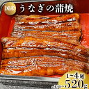 【ふるさと納税】 うなぎ の 蒲焼 選べる 1尾〜4尾 約130g〜520g 冷凍 湯煎 関西風 鰻 魚 高級魚 ウナギ 国産 九州産 蒲焼き かばやき うな重...