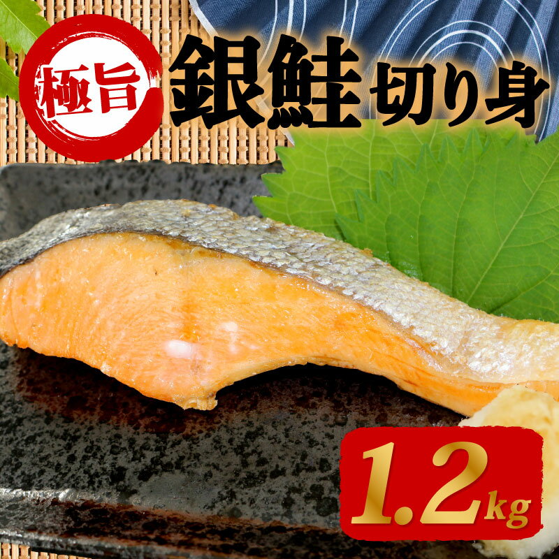 【ふるさと納税】 甘塩 銀鮭 切身 1.2kg 片身分 鮭 サーモン 切り身 鮭 便利 簡単調理 惣菜 美味しい鮭 夕食 朝食 夕食 晩ごはん 弁当 おかず ご飯 夕ご飯 大容量 便利 訳あり 年末 年始 ギフト プレゼント ご家庭で 指定日可 鮭料理 下関 山口 唐戸市場 林商店
