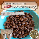【ふるさと納税】 訳あり コーヒー豆 800g ( 400g × 2袋 ) 数量限定 選べる 煎り方 深煎り 中煎り 浅煎り ホンジュラス 珈琲 自家焙煎 飲料 限定 おうち時間 下関 山口