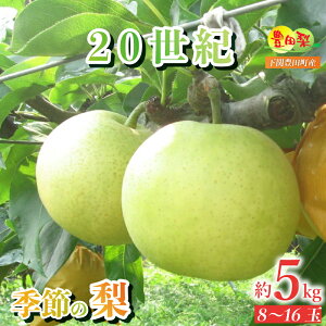 【ふるさと納税】 梨 5kg セット 8〜16玉 ご家庭用 20世紀梨 なし 詰め合わせ ご自宅用 緩衝材 キャップ 付き 20世紀 フルーツ 季節 旬 果物 期間 数量 限定 8月 9月 二十世紀梨 豊田の梨 豊田町 山口 人気 下関 夏 秋