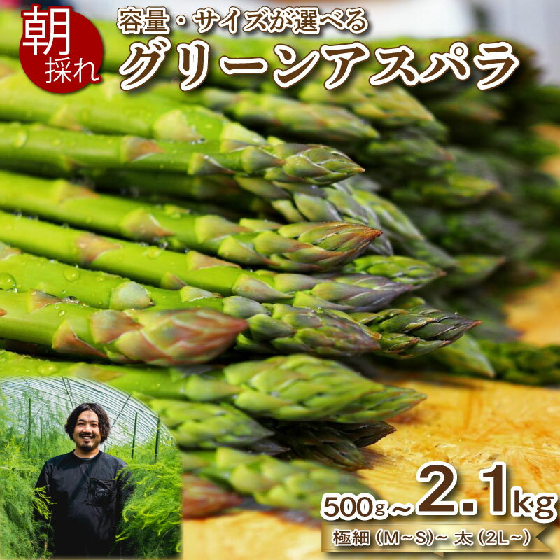 55位! 口コミ数「5件」評価「5」訳あり アスパラガス 500g~2.1kg 朝採れ 大容量 アスパラ 夏芽 S~2L 有機栽培 サイズ混合 セット 産地直送 野菜 新鮮 下･･･ 