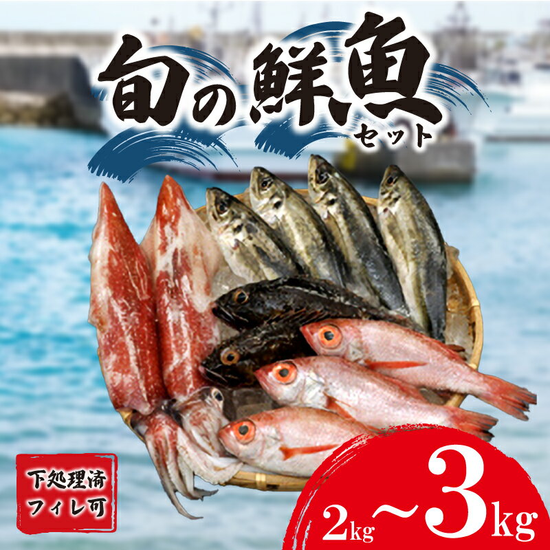 【ふるさと納税】 旬 鮮魚 ボックス 約 2kg ~ 3kg フィレ可 800g ~ 1.5kg 刺身 切身 赤いか のどぐろ アジ 天然 選べる 容量 処理済み 下処理 済み おまかせ 詰め合わせ お楽しみ 魚 魚介 旬 春 夏 秋 冬 中元 歳暮 年末年始 下関 山口のサムネイル
