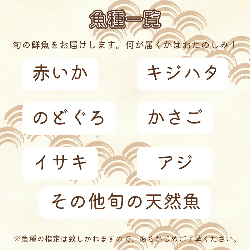 【ふるさと納税】 旬 鮮魚 ボックス 約 2kg ~ 3kg フィレ可 800g ~ 1.5kg 刺身 切身 赤いか のどぐろ アジ 天然 選べる 容量 処理済み 下処理 済み おまかせ 詰め合わせ お楽しみ 魚 魚介 旬 春 夏 秋 冬 中元 歳暮 年末年始 下関 山口