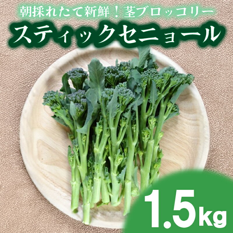 【ふるさと納税】 茎 ブロッコリー 1.5kg スティックセニョール 朝採れ 新鮮 野菜 サラダ お弁当 ピクニック 遠足 料理 産地直送 下関 山口のサムネイル