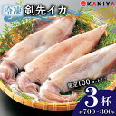 【ふるさと納税】 100セット限定! 期間限定寄附額変更中! イカ 剣先イカ 約 700g ~ 800g 冷凍 いか 3杯 お刺身用 生食可能 ケンサキイカ おいしい 剣先いか 急速 冷凍 直送 CAS凍結 イカ 新鮮 海産物 山口県産 ご飯 蟹屋 KNY-KE01-sp 下関 山口 【 14営業日以内発送 】(4)