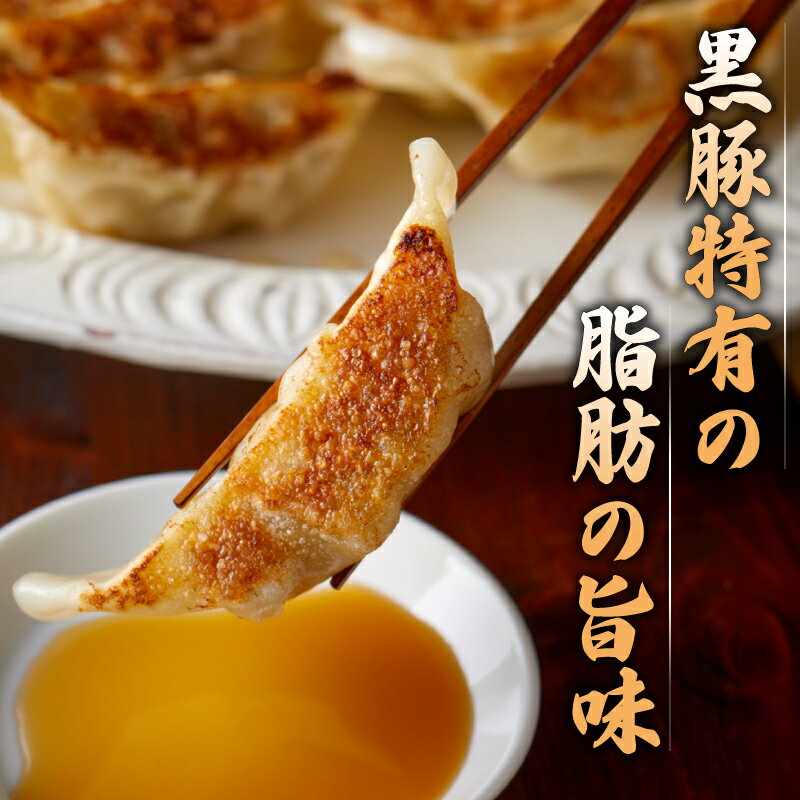 【ふるさと納税】 訳あり 霧島黒豚 肉100％ 肉餃子 120個 冷凍 12個×10パック 小分け 冷凍餃子 大容量餃子 国産原料餃子 簡単調理餃子 ぎょうざ ギョーザ 餃子（ 肉 豚肉 九州産黒豚 10000円 加工食品 お手軽 簡単調理 惣菜 絶品 おかず 弁当 おつまみ 晩ごはん