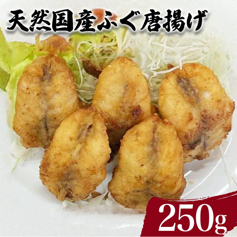 天然 国産 ふぐ から揚げ 250g 鮮魚 魚介 海鮮 フグ 河豚 海の幸 加工品 惣菜 唐揚げ お手軽 便利 簡単調理 揚げるだけ おかず ごはんのお供 ご飯 お米 夕食 おやつ おつまみ 酒 ビール 弁当 海産物 下関 山口