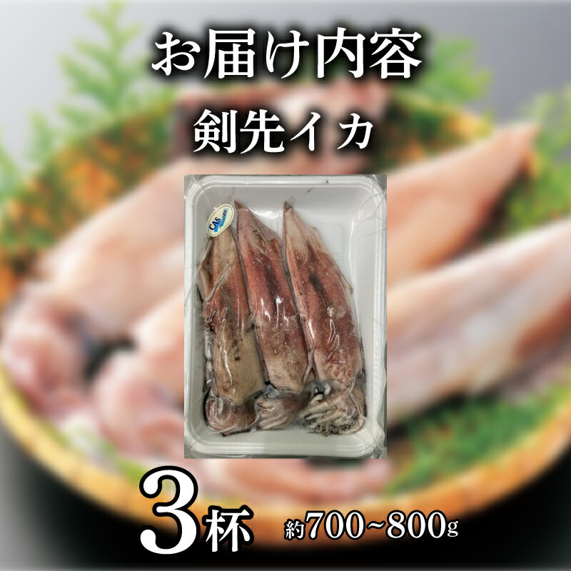 【ふるさと納税】 イカ 剣先イカ 約 700g ~ 800g 冷凍 いか 3杯 お刺身用 生食可能 ケンサキイカ おいしい 剣先いか 山口県産 ご飯 蟹屋 KNY-KE01 下関 山口
