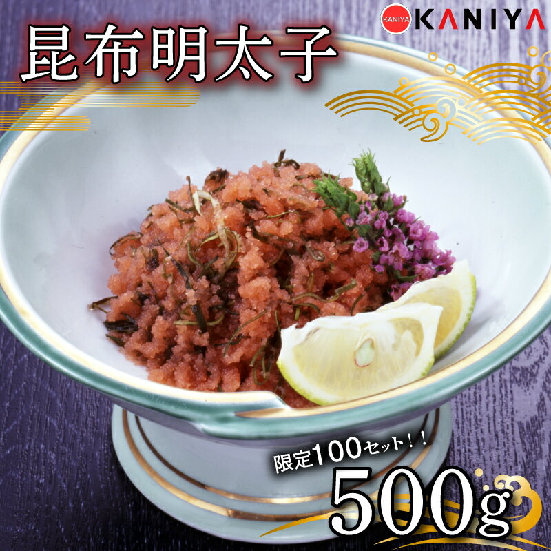 ڤդ뤵Ǽǡ 100åȸꡪ  500g   󤿤      󤿤   KNY-ME08-sp  