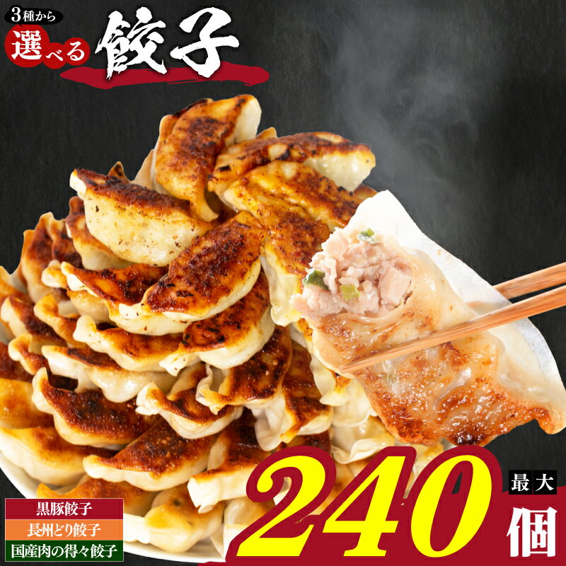 【ふるさと納税】餃子 72~240個 冷凍 小分け 選べる 定期便 鹿児島県 宮崎県 黒豚餃子 ぎょうざ ギョー..
