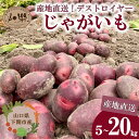 【ふるさと納税】 じゃがいも 5kg 10kg 20kg 選べる デストロイヤー 【2026年1月以降順次発送】 芋 いも 旬のお野菜お届け 産地直送 野菜 旬 農家直送 季節限定 露地野菜 やさい サラダ 農薬 化学肥料 不使用 下関 山口