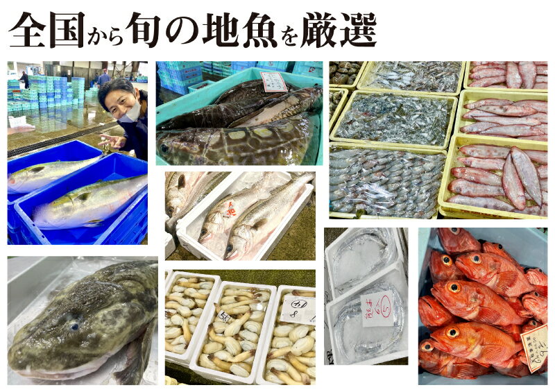 【ふるさと納税】 定期便 お楽しみ 6回 鮮魚 刺身 煮魚 揚物 冷凍 真空 小分け 魚 調理キット サカナ DIY 料理 ミール キット 2人前 2種 6ヶ月 計 12食 カンタン 調理 地魚 下関 山口