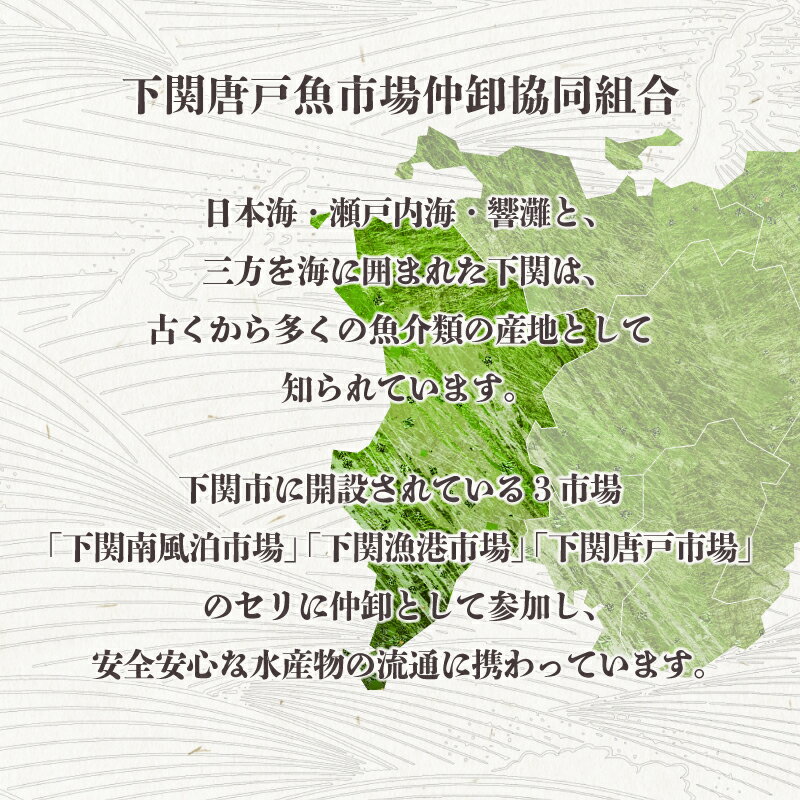 【ふるさと納税】 ひれ酒用とらふぐひれ(カップ付) ギフト プレゼント 贈呈用 下関 山口
