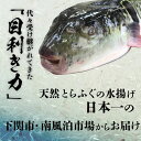 山口県下関市の画像3
