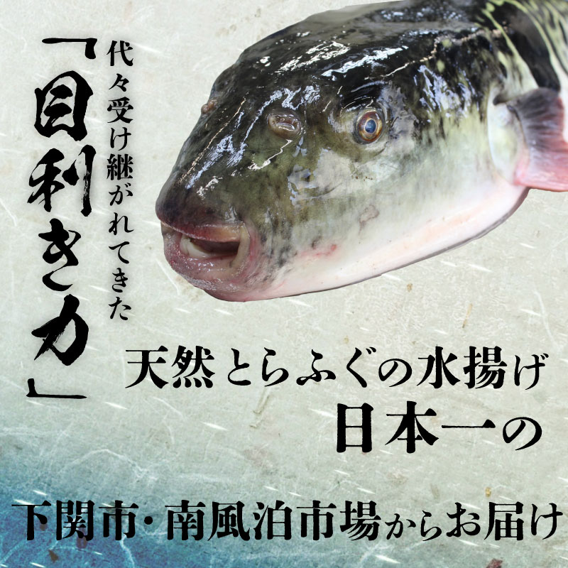 【ふるさと納税】 ふぐ 刺身 ちり 鍋 セット 2人前 冷凍 とらふぐ ふく 刺し てっさ てっちり 高タンパク コラーゲン 低脂肪 ボトル ポン酢 ひれ 付き 下関 フグ刺し ふぐちり鍋 海鮮鍋 鍋セット 冬 旬 フグ 旬の鮮魚 ご夫婦 カップル 2名様用 3