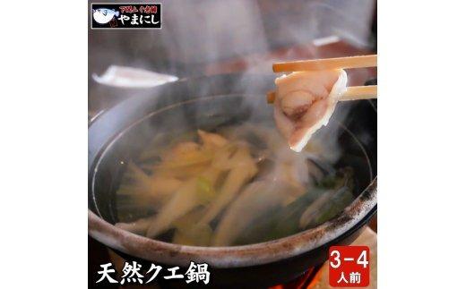 【ふるさと納税】 山口県下関産　天然クエ鍋セット3〜4人前(450g)