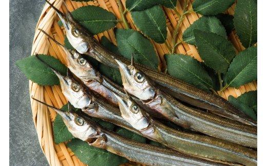 【ふるさと納税】 魚 干物 冷凍 カレイ エイ さより 汐 セット 晩酌 酒 肴 笹 バーベキュー 下関 山口